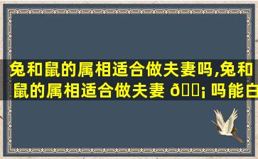 兔和鼠的属相适合做夫妻吗,兔和鼠的属相适合做夫妻 🐡 吗能白 🌿 头偕老吗